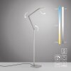 SAMSKY Lampadaire Luminaires Paul Neuhaus LED Argenté, 1 lumière