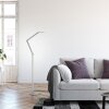 SAMSKY Lampadaire Luminaires Paul Neuhaus LED Argenté, 1 lumière