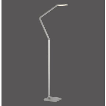 SAMSKY Lampadaire Luminaires Paul Neuhaus LED Argenté, 1 lumière