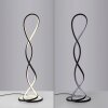 TWIST Lampadaire Luminaires Paul Neuhaus LED Noir, 1 lumière