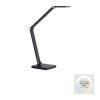 SAMSKY Lampe à poser Luminaires Paul Neuhaus LED Gris, 1 lumière