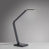 SAMSKY Lampe à poser Luminaires Paul Neuhaus LED Gris, 1 lumière