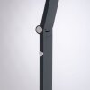 SAMSKY Lampe à poser Luminaires Paul Neuhaus LED Gris, 1 lumière