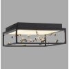 SKINA Plafonnier Luminaires Paul Neuhaus LED Noir, 1 lumière, Télécommandes