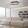 SKINA Plafonnier Luminaires Paul Neuhaus LED Noir, 1 lumière, Télécommandes