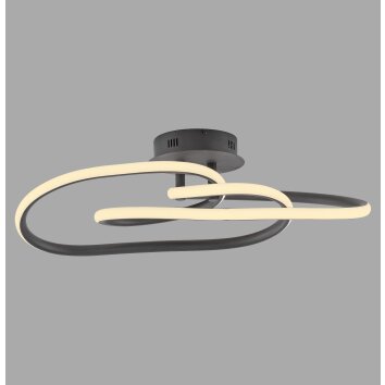 TWIST Plafonnier Luminaires Paul Neuhaus LED Noir, 1 lumière