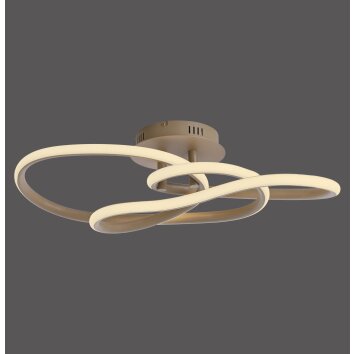 TWIST Plafonnier Luminaires Paul Neuhaus LED Sable, 1 lumière