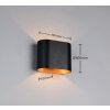 Alani Applique murale Luminaires Trio Noir doré, 1 lumière