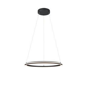 Amador Suspension Luminaires Trio LED Noir, 1 lumière
