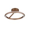 Amador Plafonnier Luminaires Trio LED Brun, 1 lumière