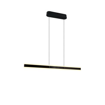 Arcola Suspension Luminaires Trio LED Noir, 1 lumière