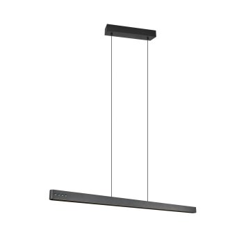 Donegal Suspension Luminaires Trio LED Noir, 1 lumière, Télécommandes