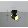 Eva Spot de plafond Luminaires Trio Noir doré, 1 lumière