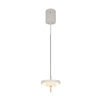KEATON Suspension Luminaires Trio LED Gris, 1 lumière