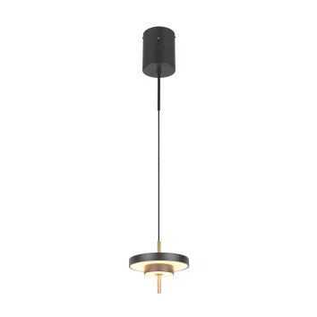 KEATON Suspension Luminaires Trio LED Noir doré, 1 lumière