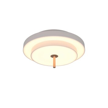 KEATON Plafonnier Luminaires Trio LED Gris, 1 lumière