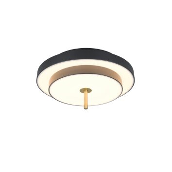 KEATON Plafonnier Luminaires Trio LED Noir doré, 1 lumière