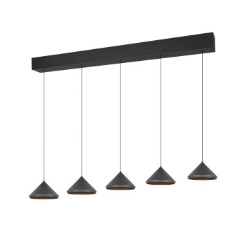 Laguna Suspension Luminaires Trio LED Noir, 5 lumières