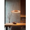Lynwood Suspension Luminaires Trio LED Bois clair, 1 lumière