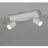 Soka Spot de plafond Luminaires Trio Gris, 2 lumières