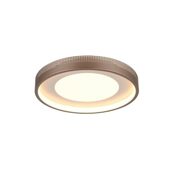Solea Plafonnier Luminaires Trio LED Brun, 1 lumière
