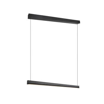 Wallace Suspension Luminaires Trio LED Noir, 1 lumière