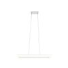 Camino Suspension Luminaires Reality LED Blanc, 1 lumière