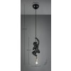 Fips Suspension Luminaires Reality Noir, 1 lumière