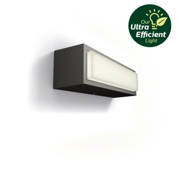 Stratosphere Lampe murale d´extérieur Luminaires Philips LED Anthracite, 1 lumière