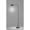 Lampadaire Trio KAZAN LED Noir, 1 lumière