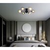 Roland Plafonnier Luminaires Globo Lighting Noir, 6 lumières