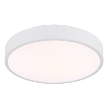 Nielsen Plafonnier Luminaires Globo Lighting LED Blanc, 1 lumière
