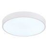 Nielsen Plafonnier Luminaires Globo Lighting LED Blanc, 1 lumière