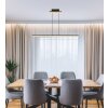 Hilton Suspension Luminaires Globo Lighting LED Noir, 1 lumière
