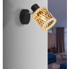 Mali Applique murale, Spot mural Luminaires Globo Lighting Noir, 1 lumière