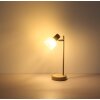 Planta Lampe à poser Luminaires Globo Lighting Couleur bois, Sable, 1 lumière