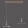 Moon Suspension Luminaires Paul Neuhaus LED Bronze, 4 lumières