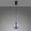 Infinity Suspension Luminaires Paul Neuhaus LED Gris, 1 lumière, Télécommandes