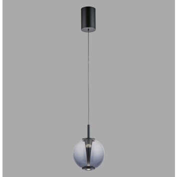 Infinity Suspension Luminaires Paul Neuhaus LED Gris, 1 lumière, Télécommandes
