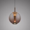 Infinity Suspension Luminaires Paul Neuhaus LED Bronze, 1 lumière, Télécommandes