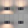 Clipse Suspension Luminaires Paul Neuhaus LED Gris, 2 lumières, Télécommandes