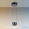 Clipse Suspension Luminaires Paul Neuhaus LED Gris, 2 lumières, Télécommandes