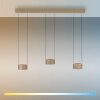 Clipse Suspension Luminaires Paul Neuhaus LED Bronze, 6 lumières, Télécommandes