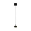 Rings Suspension Luminaires Paul Neuhaus LED Noir, Transparent, 1 lumière, Télécommandes
