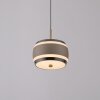 Rings Suspension Luminaires Paul Neuhaus LED Bronze, Chrome, 1 lumière, Télécommandes