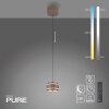 Rings Suspension Luminaires Paul Neuhaus LED Bronze, Chrome, 1 lumière, Télécommandes