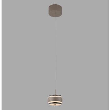 Rings Suspension Luminaires Paul Neuhaus LED Bronze, Chrome, 1 lumière, Télécommandes