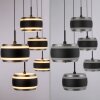 Rings Suspension Luminaires Paul Neuhaus LED Noir, Transparent, 5 lumières, Télécommandes