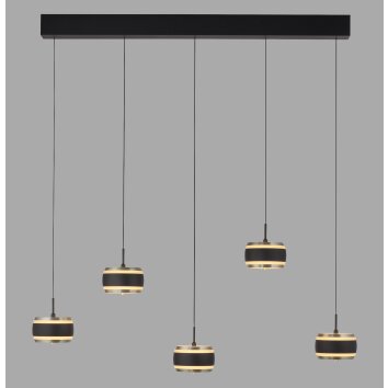Rings Suspension Luminaires Paul Neuhaus LED Noir, Transparent, 5 lumières, Télécommandes