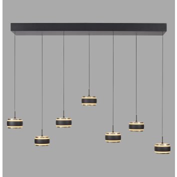 Rings Suspension Luminaires Paul Neuhaus LED Noir, Transparent, 7 lumières, Télécommandes